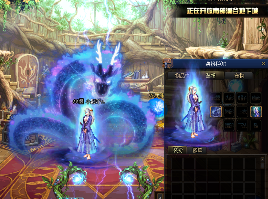 皮肤2.png
